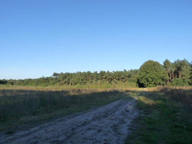 סבנום De Steegberg Holiday Home מראה חיצוני תמונה